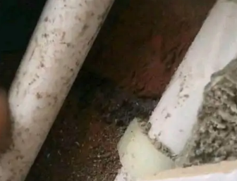 绥滨卫生间测漏水哪家好